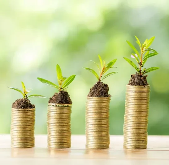 Mutual Funds